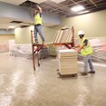thumbnail image 3 of Trimaco 62420 24" x 200' 2mil Carpet Film, 3 of 6