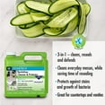 thumbnail image 2 of STONETECH Revitalizer Cleaner & Protector, 1 Gallon (3.8L) Bottle, Cucumber Scent, 2 of 8