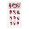 thumbnail image 2 of 24 Uds. De uñas postizas para mujer, pegamento de cobertura completa para uñas postizas, herramienta de manicura P147, 2 of 8