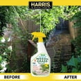 thumbnail image 4 of Harris Sea Salt 10X Weed & Grass Killer, 32 oz., 4 of 6