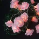 thumbnail image 1 of Guirnalda de luces LED con forma de flor, funciona con pilas, romántica, color rosa, 5 m, 50 LED, 1 of 5