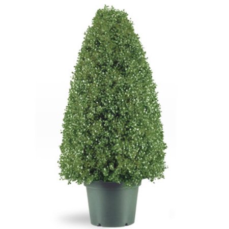 Walmart Seller Central >> 36" Potted Artificial Boxwood Topiary Tree - Walmart.com Walmart Seller Central >> 36" Potted Artificial Boxwood Topiary Tree - Walmart.com