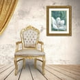 thumbnail image 3 of Delimont, Danita 15x18 Gold Ornate Wood Framed with Double Matting Museum Art Print Titled - Joy To The Soul, 3 of 4