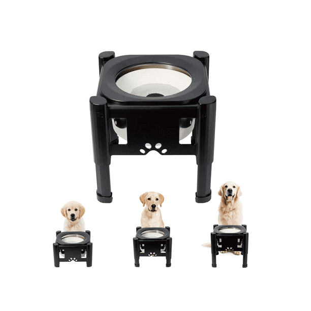 Stainless Steel Water Bowl With 3 Adjustable Heights, Food Water Bowl For Dogs and Cats, Anti-spill