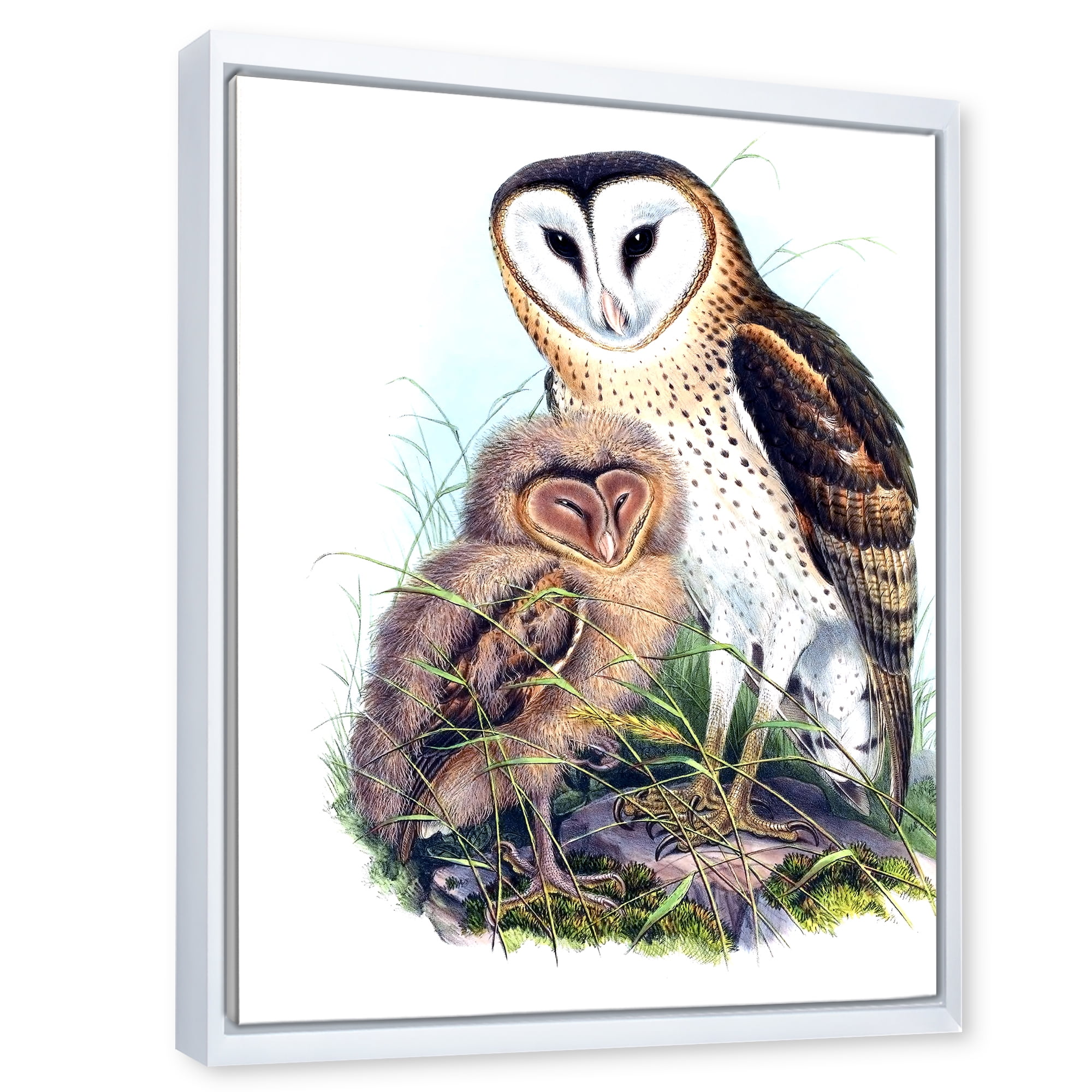 Designart 'Ancient Birds I' Traditional Framed Canvas Wall Art Print