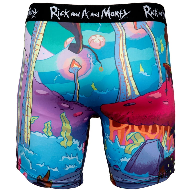Rick and Morty Chased Out Of Portal Boxer Briefs-Small (28-30) 