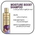 thumbnail image 2 of Gold Series from Pantene Shampoo, Moisture Boost, 9.1 fl oz, 2 of 8