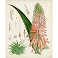 thumbnail image 2 of Curtis 15x18 Gold Ornate Wood Framed with Double Matting Museum Art Print Titled - Delicate Tropicals I, 2 of 4