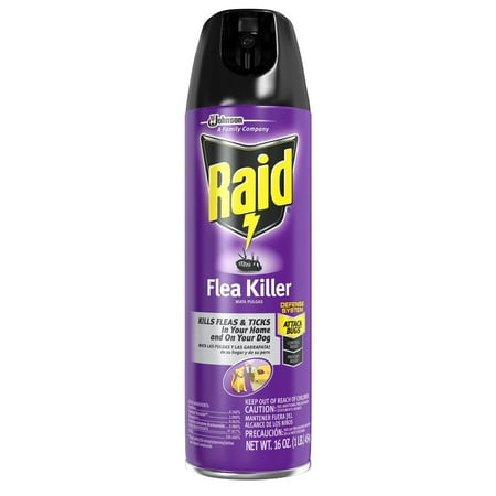 6 PACKS : Raid Flea Killer for Home and Dogs, 16 (Best Raid For Gaming)