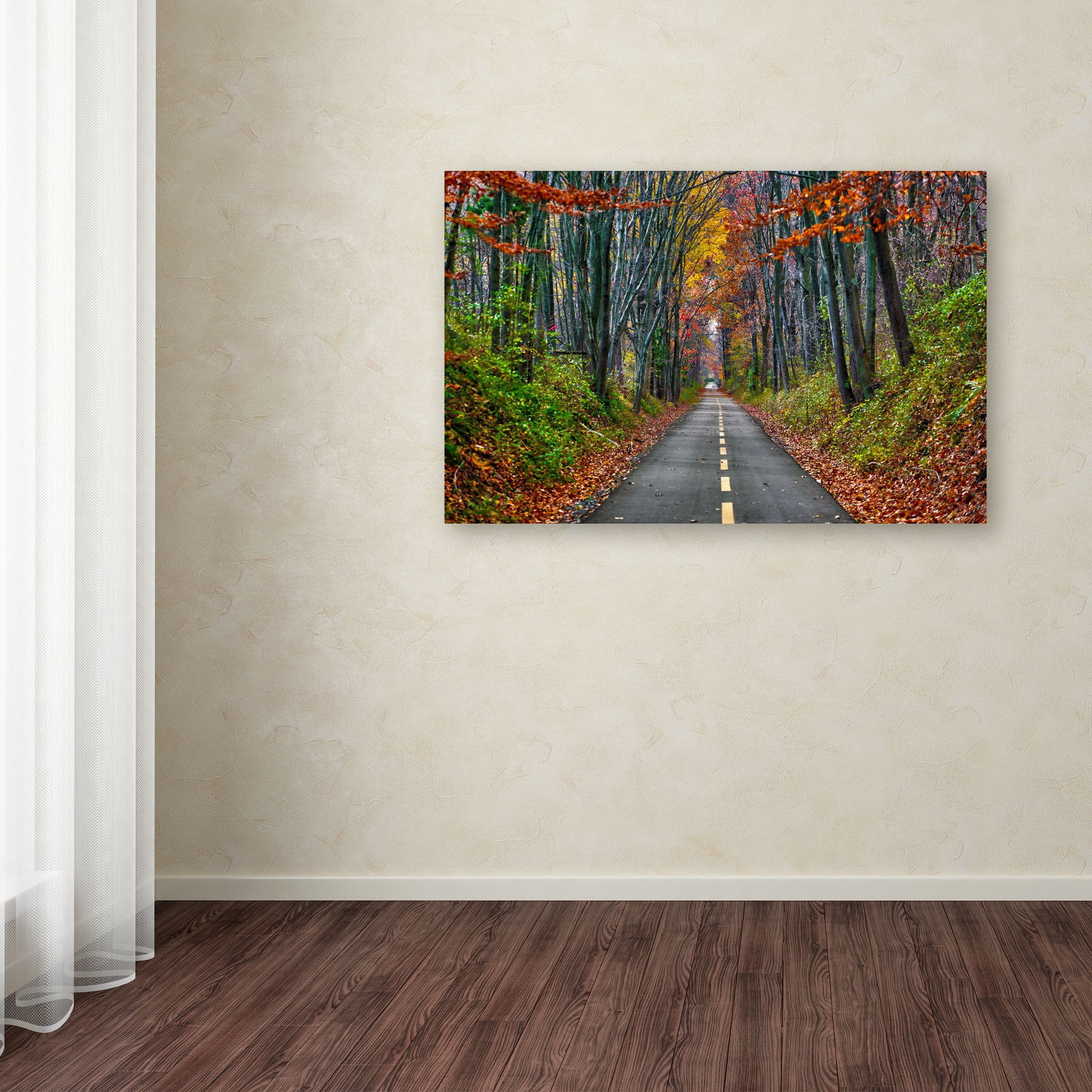 Trademark Fine Art "Paths" Canvas Art by CATeyes