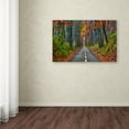 thumbnail image 4 of Trademark Fine Art "Paths" Canvas Art by CATeyes, 4 of 4