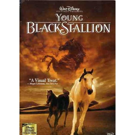 Young Black Stallion (Widescreen)