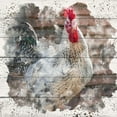 thumbnail image 3 of Allen, Kimberly 15x15 Black Modern Framed Museum Art Print Titled - Rooster 2, 3 of 5