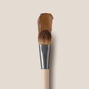 EcoTools All-Over Eye Brush