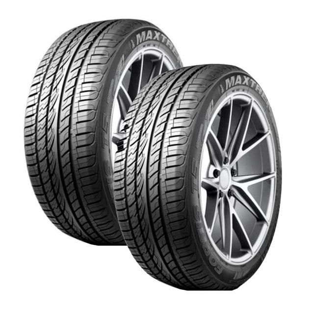 Paquete de 2 Llantas 265/35 R22 102V