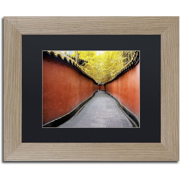 Trademark Fine Art "Alley Bamboo" Canvas Art by Philippe Hugonnard, Black Matte, Birch Frame