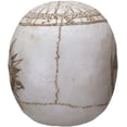 thumbnail image 5 of Wicca Astrology Zodiac Skull LED Night Light Statue With USB Charging Wood Base, 5 of 7