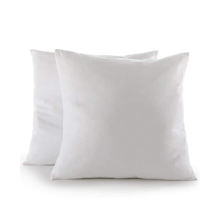 Cheer Collection Set of 2 Decorative White Square Accent Throw Pillows and Insert