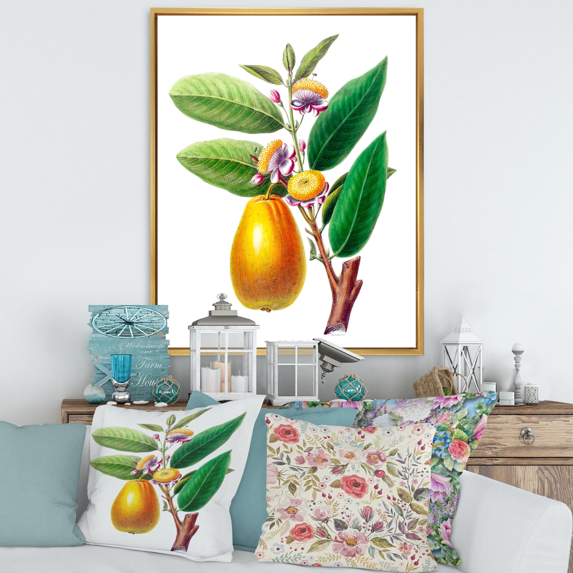Designart 'Ancient Fruits I' Farmhouse Framed Canvas Wall Art Print