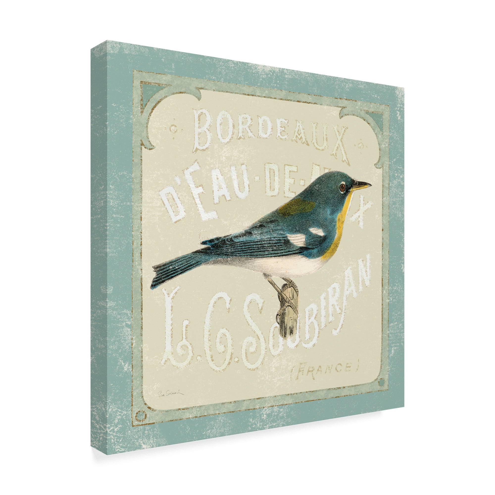 Trademark Fine Art 'Parisian Bird I' Canvas Art by Sue Schlabach