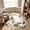Multicolor D, variant on AuroraX Bedroom Rugs for Adults Non Skid Cute Animals Cat Front Door Mats Indoor and Outdoor Flannel Entryway Rug for Doorway Washable