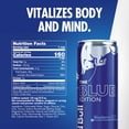 thumbnail image 4 of Red Bull Blue Edition Energy Drink, Blueberry, 114mg Caffeine, 12 fl. oz., Pack of 4 Cans, 4 of 18