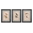 thumbnail image 1 of IMAX Corporation Woodland 3 Piece Bird Wall Decor Set, 1 of 1