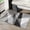 3, variant on Simple E-Sports Chair Carpets Floor Mat Study Desk Computer Swivel Chair Carpet Bedroom Soiled Foot Mat Carpet Home Decoration