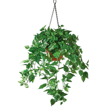 Artificial Pothos Plant Realistic Decorative Outdoor Hanging Basket Artificial Pothos Plant Realistic Decorative Outdoor Hanging Basket