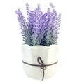 thumbnail image 2 of K-Cliffs Artificial Lavender 7.5" Potted Home Decor Purple Flowers in White Ceramic Pot, 2 of 5