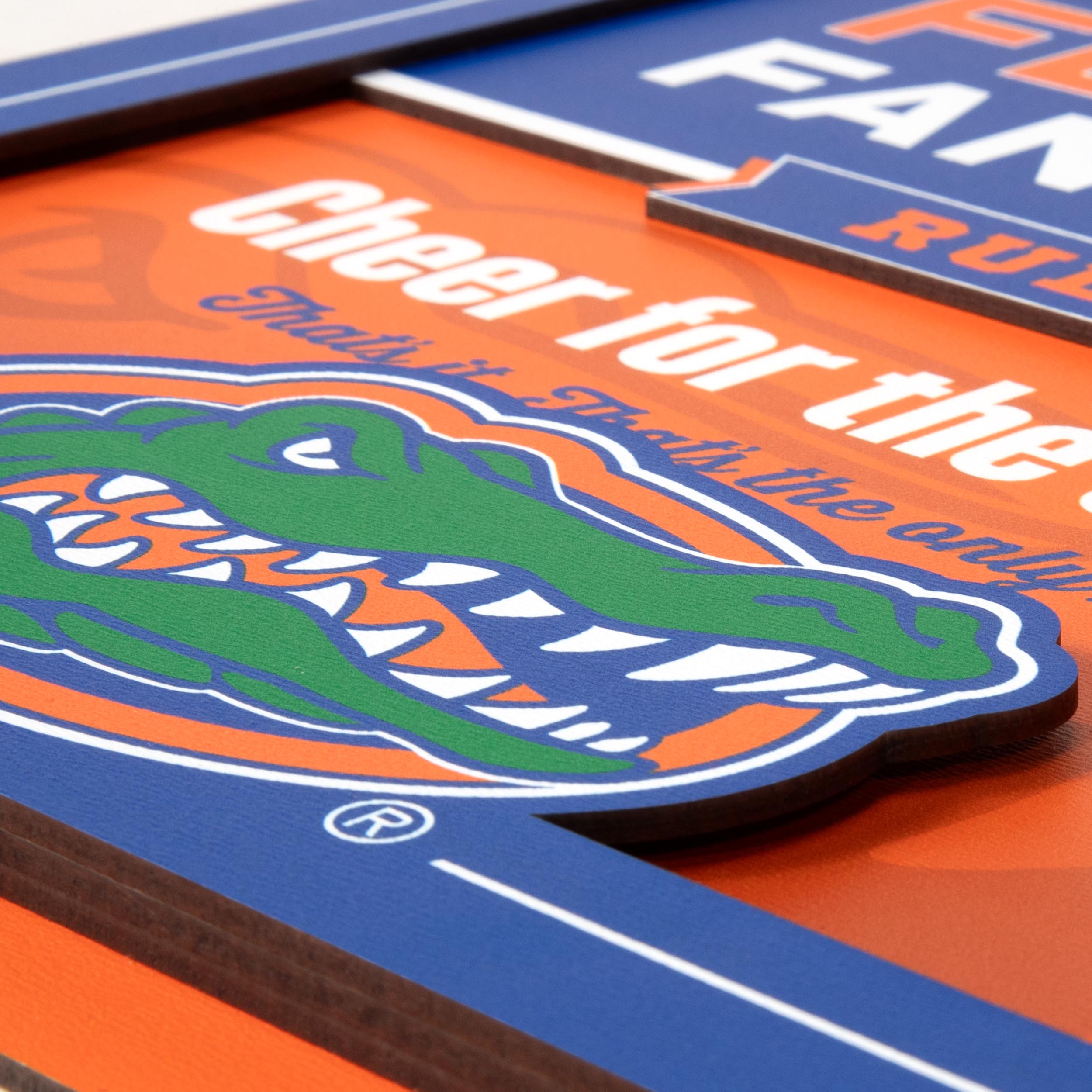 YouTheFan NCAA Florida Gators Fan Rules 3D Wall Art