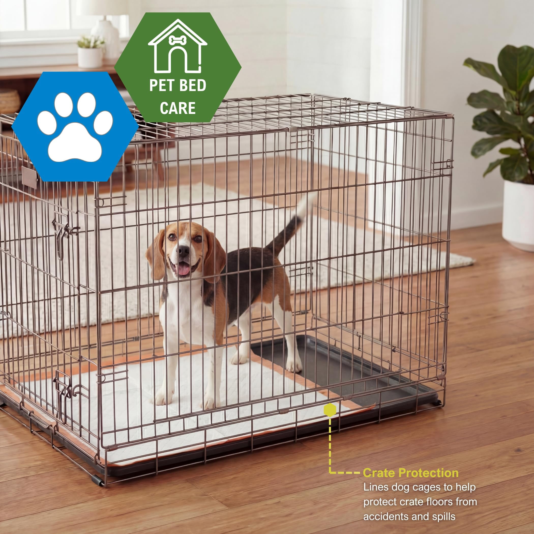 MED PRIDE Dog Training Pads with Attractant, Puppy Pee Pads, 22 x 24 Inch Disposable Potty Pads, 6-Layer Ultra Absorbent Leakproof Waterproof Pet Pads for Dogs, Cats & Small Pets (125)