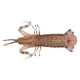 thumbnail image 1 of Modelo de animal marino, modelo de camarón mantis, simulación sólida, modelo de camarón, simulación de camarón mantis, tecnología avanzada, 1 of 9