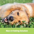 thumbnail image 3 of pack of 3 - Surosolve Ear Cleaner for Dogs & Cats, 125-mL bottle, 3 of 5