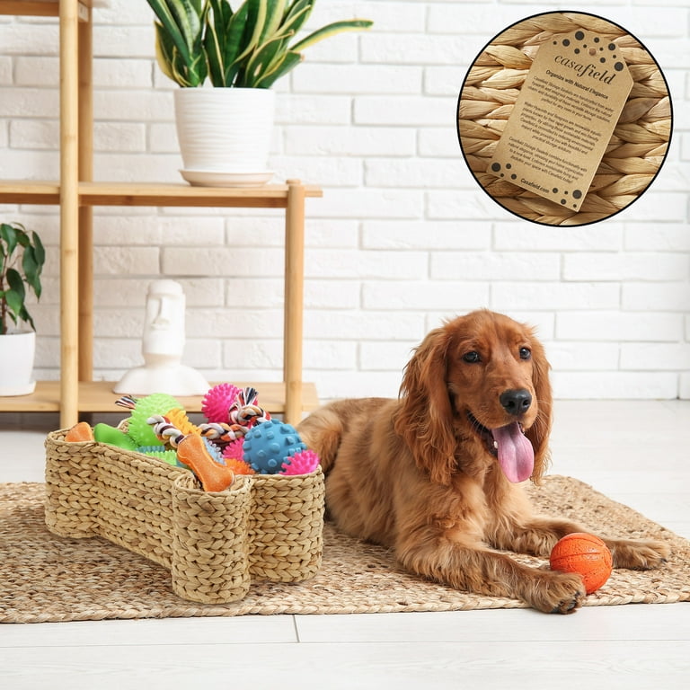 Storage Container Bone Shaped Dog Toy Box Outdoor Toy Box Wood Dog