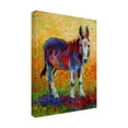 thumbnail image 4 of Marion Rose 'Migo' Canvas Art, 4 of 4