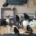 thumbnail image 3 of 6 Packs Halloween Black Crows, Handmade Realistic Crow for Yard Tree Garden Patio Indoor Outdoor Halloween Decorations, 3 of 8