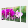 thumbnail image 2 of Belles Orchidées sur Fond Vert - Grande Impression sur Toile Florale, 2 of 3
