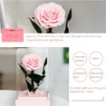 thumbnail image 4 of Rosa real preservada en caja de acrílico | Regalo de flor eterna para San Valentín | Recuerdo duradero para mujer, novia, esposa o mamá, 4 of 9