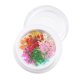 thumbnail image 1 of 3D Real Dry Acrílico Nail Decoración con caja 11 jinwen Flor seca de uñas, 1 of 8