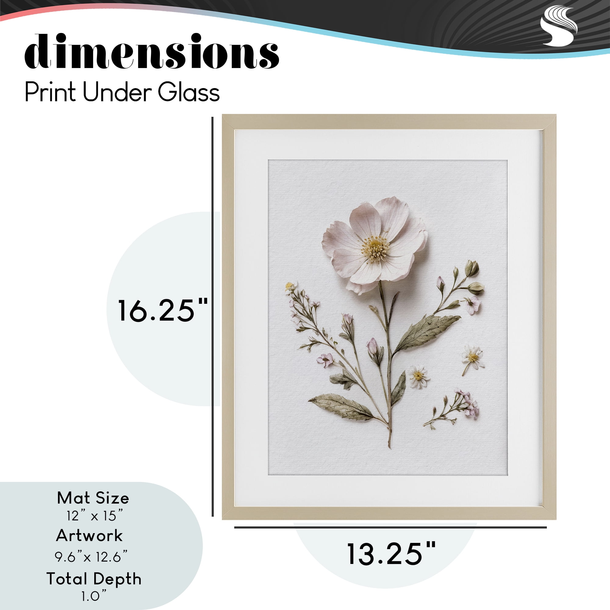 Pressed Wild Flowers Birch Framed Print Under Glass, design by Lettered and Lined