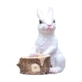 thumbnail image 1 of koolsoo Cartoon Flower Pot, Bunny Sculpture Bonsai Pot Flowerpot Rabbit Statue Container Wooden Stake, 1 of 9