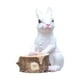 thumbnail image 2 of de dibujos animados, para bonsái, , estatua de conejo, contenedor, escultura de , para interior, hogar, jardín, Estaca de madera DYNWAVEMX Macetas de bonsái, 2 of 8