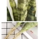 thumbnail image 3 of Yuarrent Planta degradable amigable con las mascotas con bajo mantenimiento para sala de estar Balcón Apariencia realista Elegancia sin riego Decoración 3 hojas, 59 CM C 59 CM X, 3 of 6