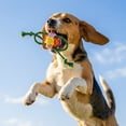 thumbnail image 3 of Oodles Durable Lasso Rope Dog Toy Set, Green, Small, 3 of 10