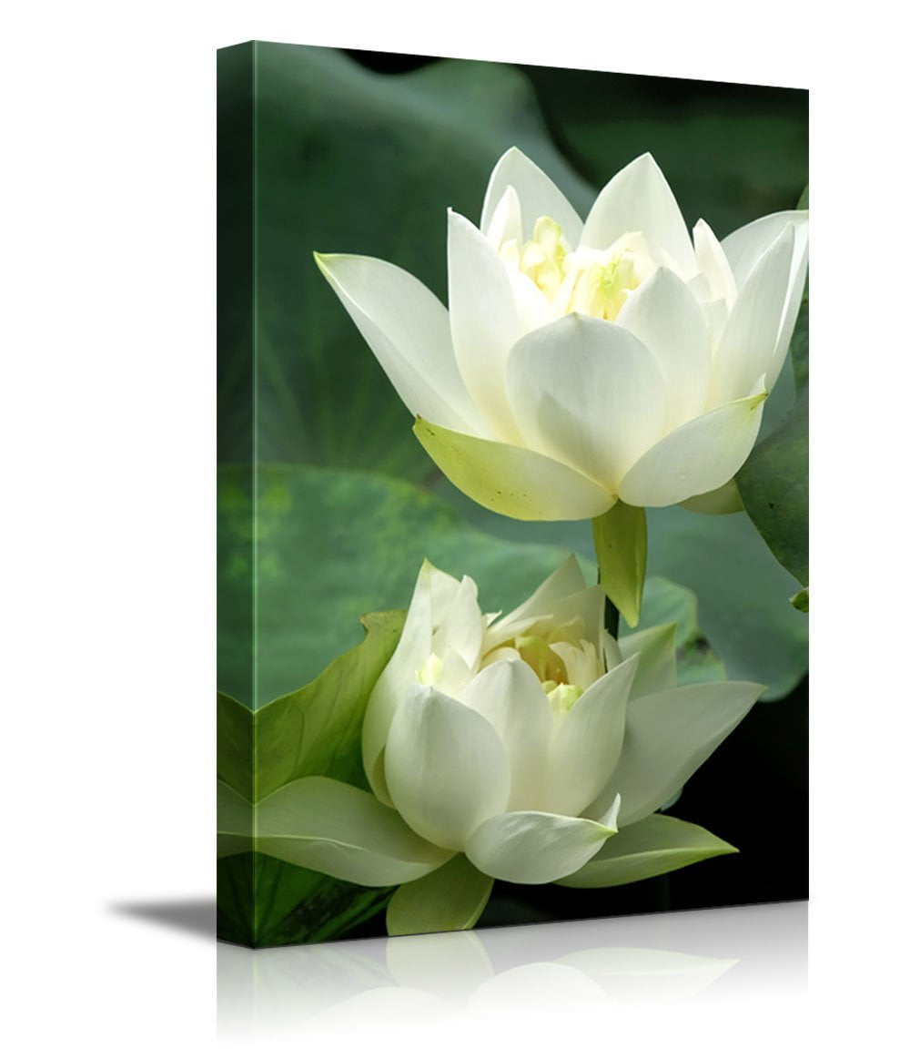 Canvas Prints Wall Art White Lotus Flower and Green