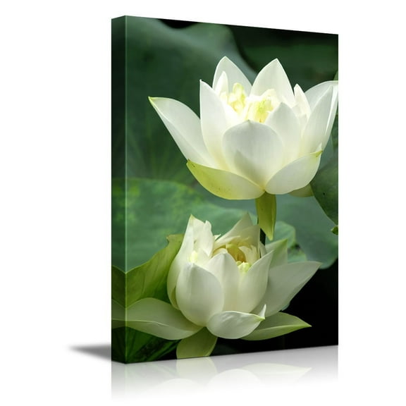 Canvas Prints Wall Art - White Lotus Flower and Green Lotus Leaf | Modern Wall Decor/ Home Decor Stretched Gallery Wraps Giclee Print & Wood Framed. Ready to Hang - 24" x 36"