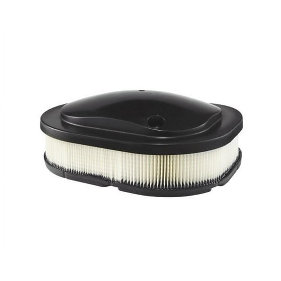 Indian Motorcycle Air Filter | 5815068