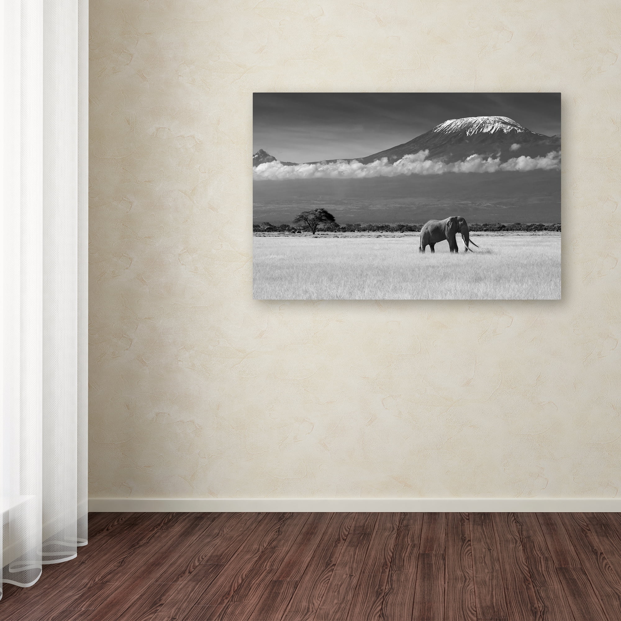 Trademark Fine Art 'Lost Colors Ii' Canvas Art by Ibrahim Canakci