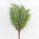 thumbnail image 2 of unbranded 2Ud Hoja De Helecho Artificial Verde Para De Bodas Y Fiestas, 2 of 8